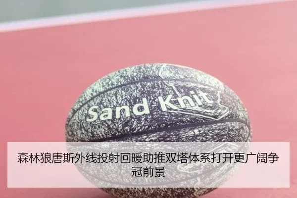 森林狼唐斯外线投射回暖助推双塔体系打开更广阔争冠前景