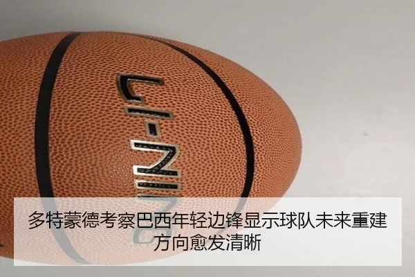 多特蒙德考察巴西年轻边锋显示球队未来重建方向愈发清晰